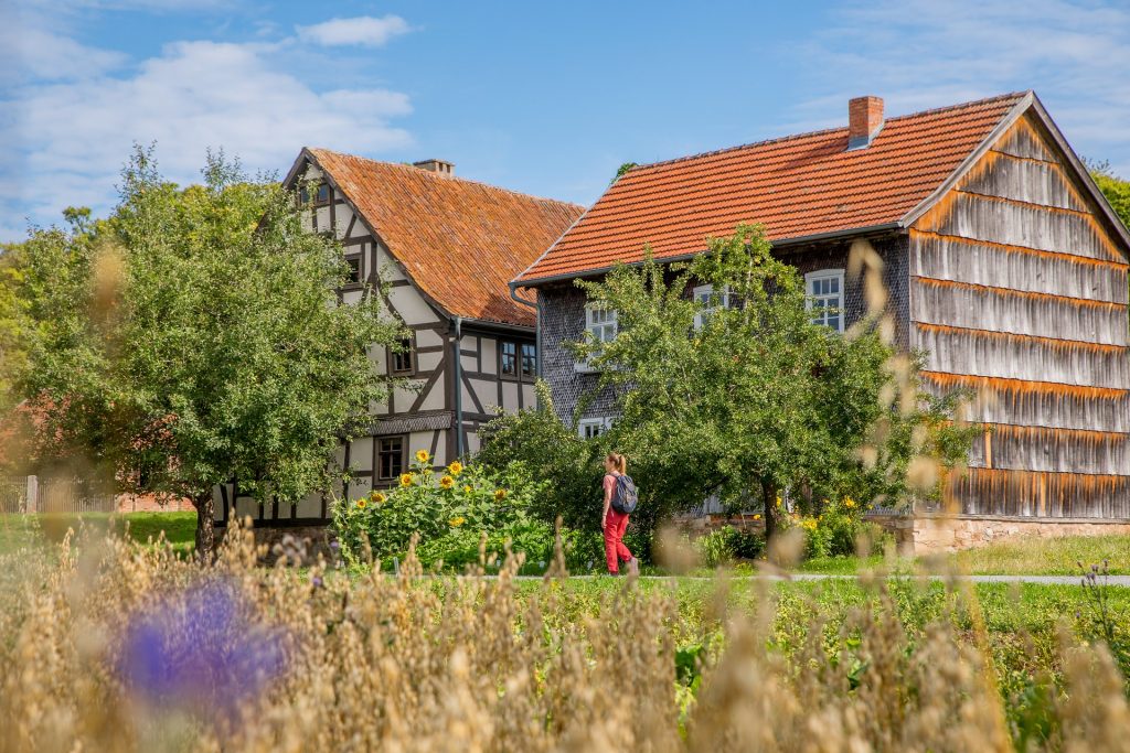 im Vordergrund Felder, im Hintergrund historische Häuser, Bäume und Sonnenblumen, eine spazierende Frau
