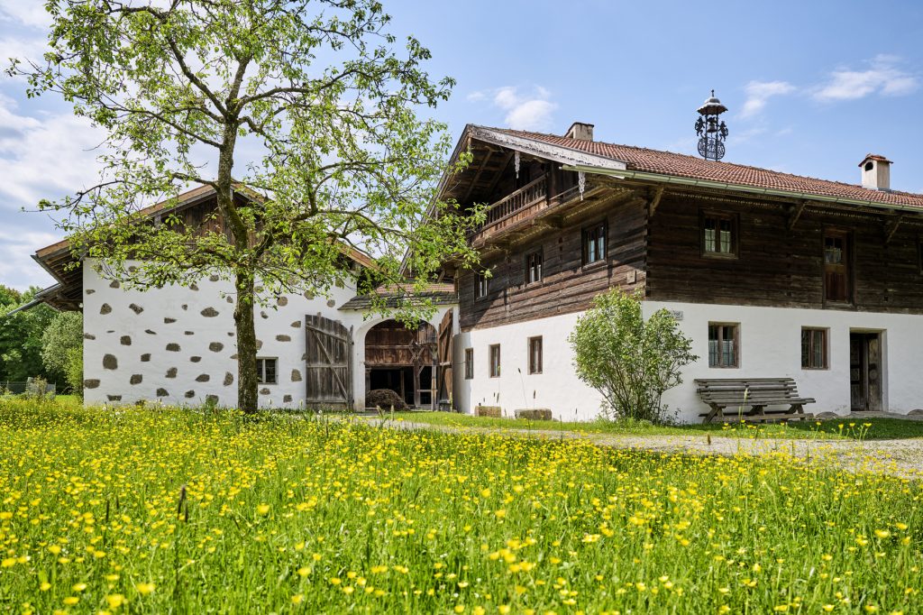 historisches Hofstelle, im Vordergrund blühende Wiese, Baum und Strauch