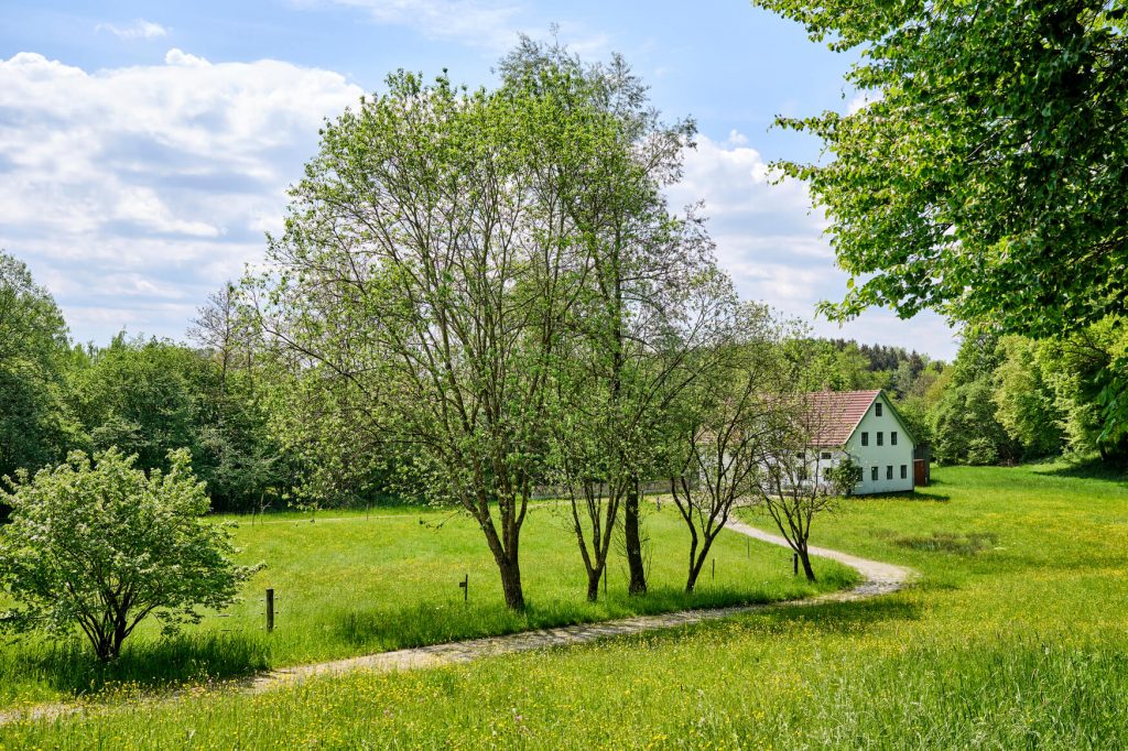 Frühlingslandschaft mit Bäumen mit zartem Grün, ein Weg schlängelt sich zu einem Haus.